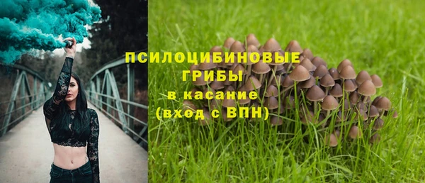 а пвп мука Карпинск