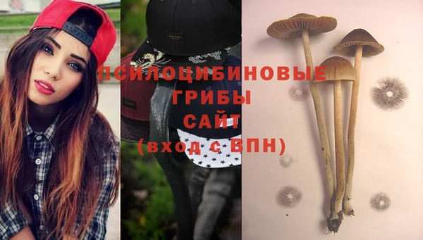 соль ск Карталы