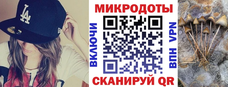 Псилоцибиновые грибы Cubensis  Купить где  Бийск 
